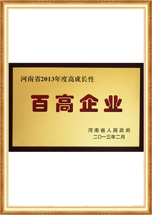 17-河南省高成长性百高企业.jpg